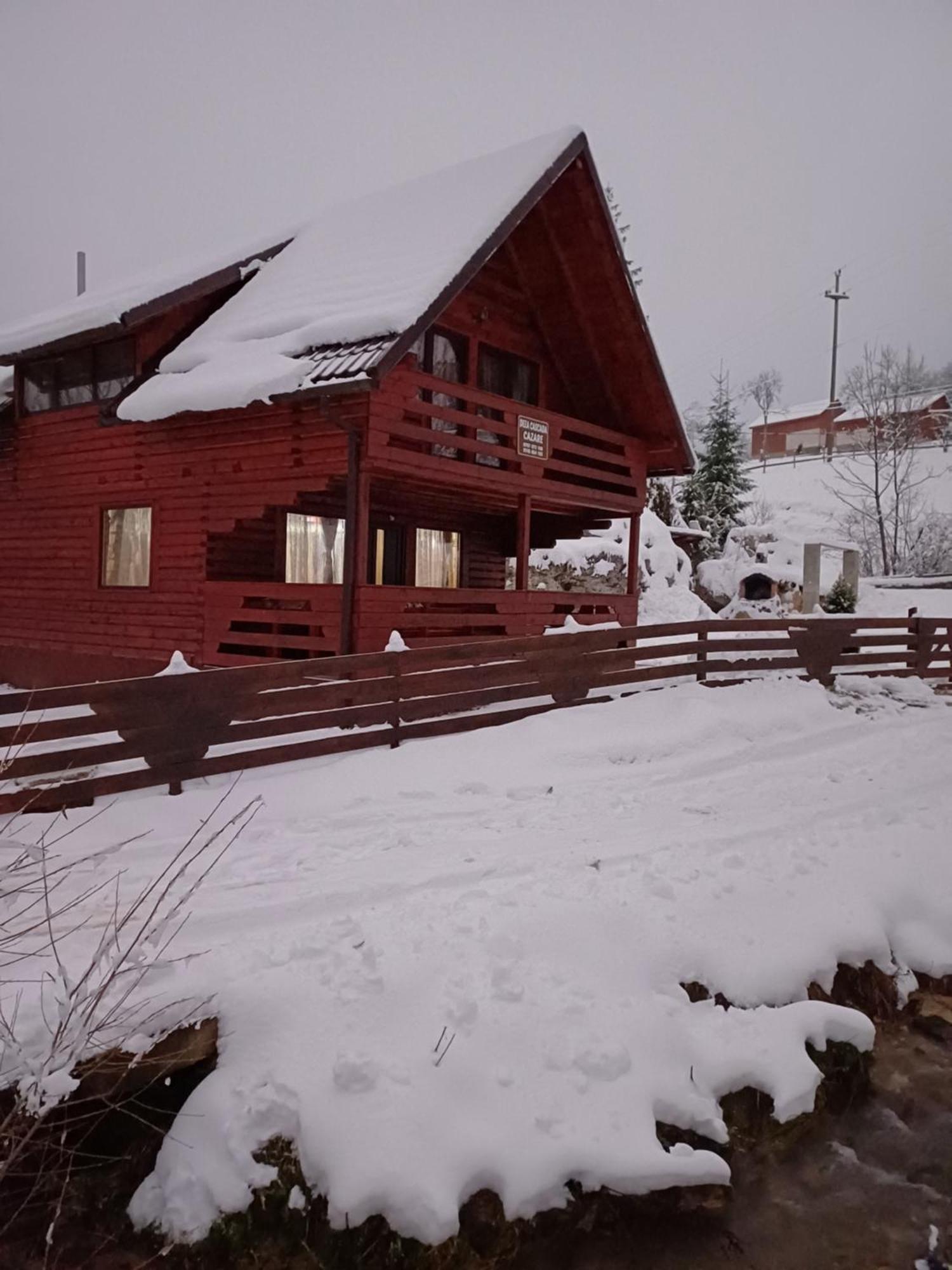 Deea Cascada Villa Vidra  Exterior photo
